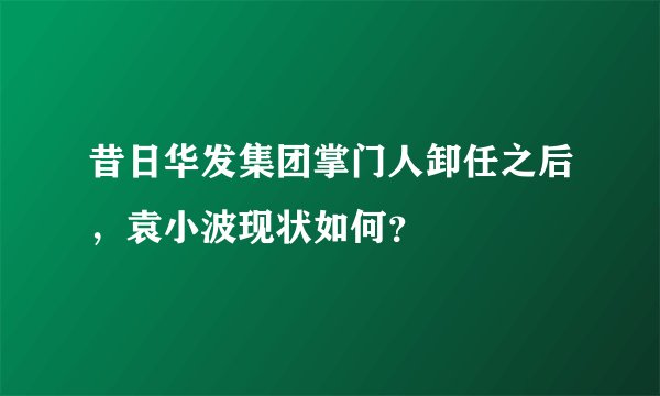 昔日华发集团掌门人卸任之后,袁小波现状如何?