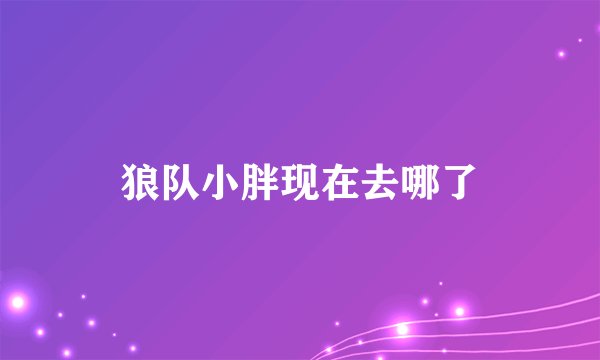 狼队小胖现在去哪了