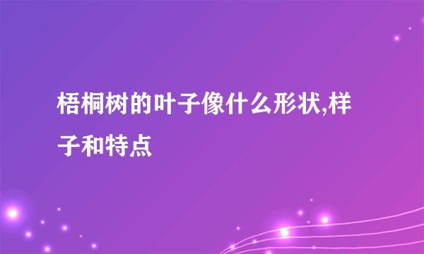 梧桐树的叶子像什么形状,样子和特点
