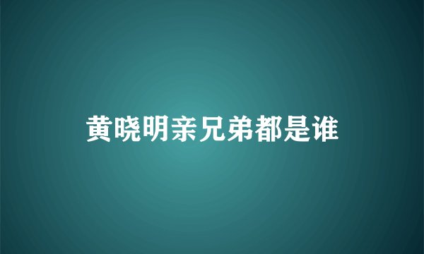 黄晓明亲兄弟都是谁