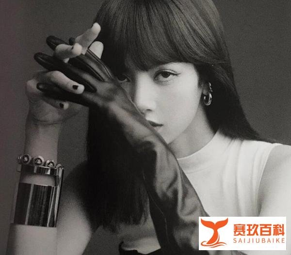 BLACKPINK之光！Lisa个人IG粉丝突破9500万，KPOP第一且唯一