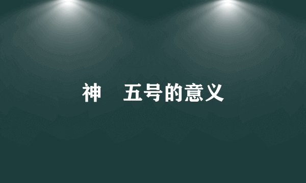 神甪五号的意义