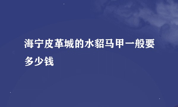 海宁皮革城的水貂马甲一般要多少钱