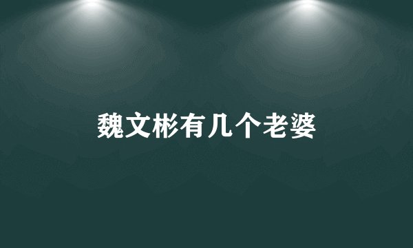 魏文彬有几个老婆