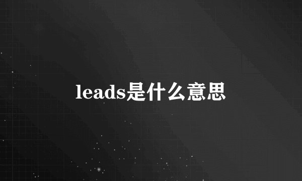 leads是什么意思