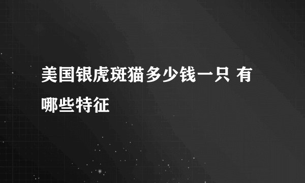 美国银虎斑猫多少钱一只 有哪些特征