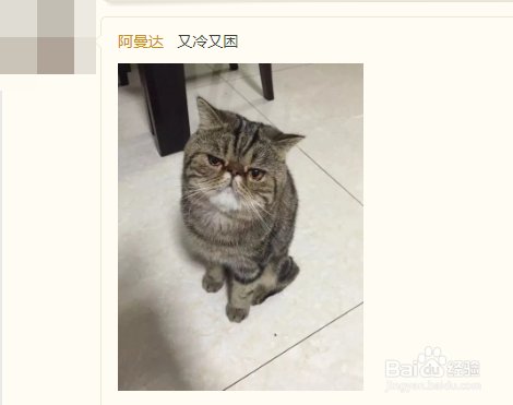 空间人气怎么刷