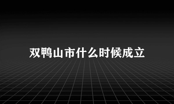 双鸭山市什么时候成立