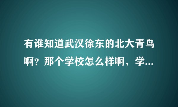 有谁知道武汉徐东的北大青鸟啊？那个学校怎么样啊，学校是个什么样的