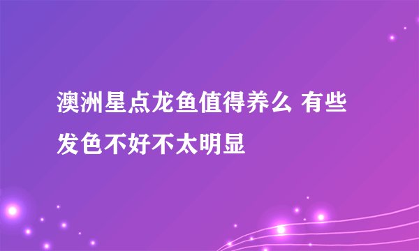 澳洲星点龙鱼值得养么 有些发色不好不太明显