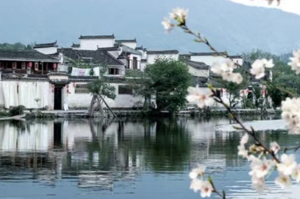 蜾怎么读