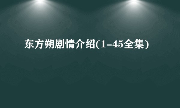 东方朔剧情介绍(1-45全集)