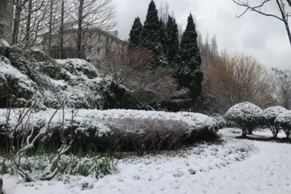 大雪纷飞怎么造句