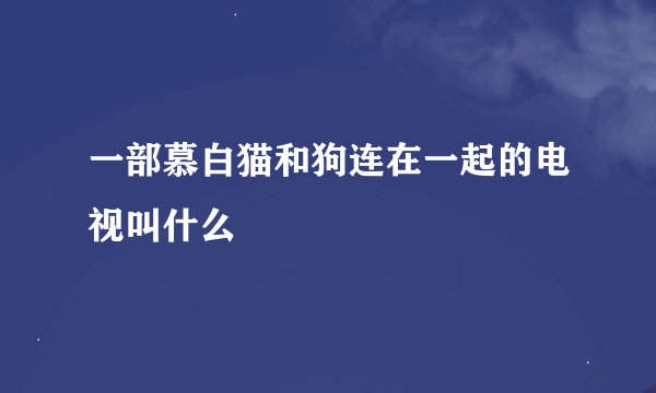 一部慕白猫和狗连在一起的电视叫什么
