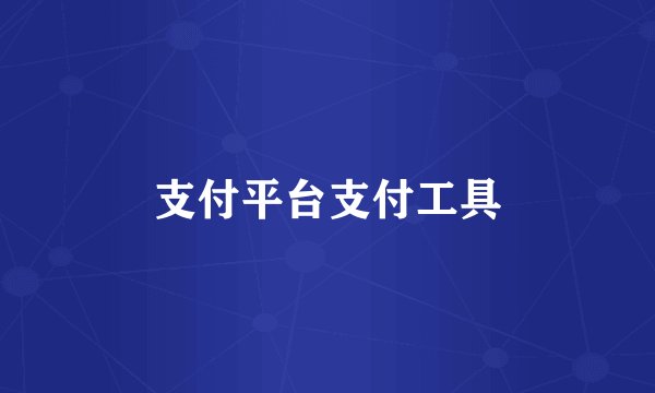 支付平台支付工具