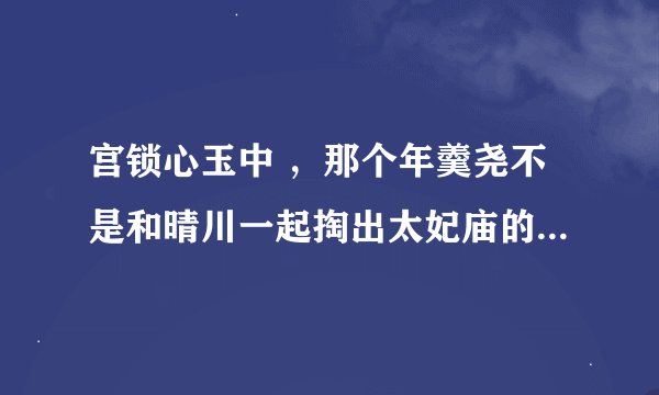 宫锁心玉中 ，那个年羹尧不是和晴川一起掏出太妃庙的么，怎么最后又成了顾小春了？难道不会有人发现他俩吗