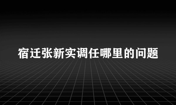 宿迁张新实调任哪里的问题