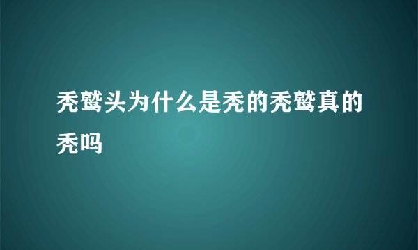 秃鹫头为什么是秃的秃鹫真的秃吗