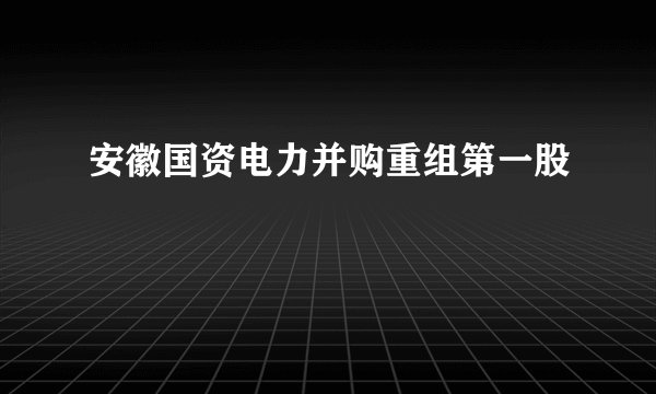 安徽国资电力并购重组第一股