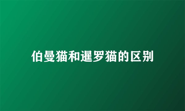 伯曼猫和暹罗猫的区别