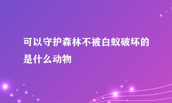 可以守护森林不被白蚁破坏的是什么动物