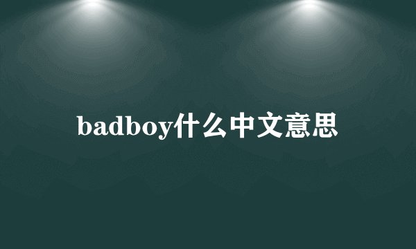 badboy什么中文意思