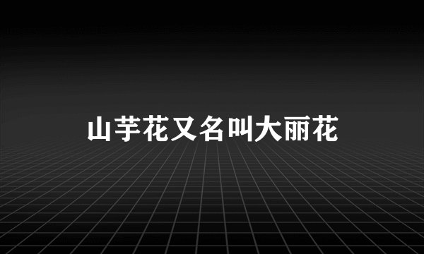 山芋花又名叫大丽花