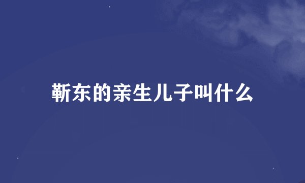 靳东的亲生儿子叫什么