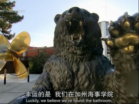 流言终结者第十二季的剧情简介