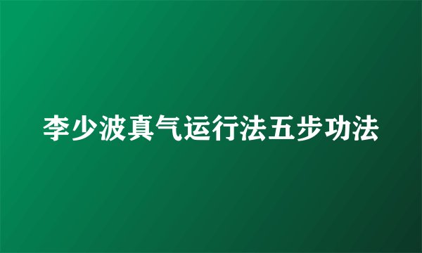 李少波真气运行法五步功法