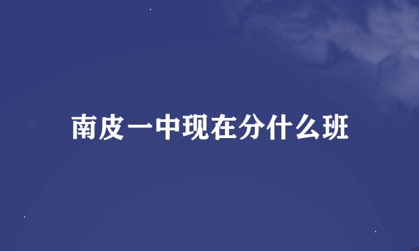 南皮一中现在分什么班