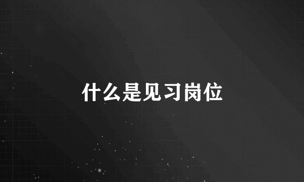 什么是见习岗位