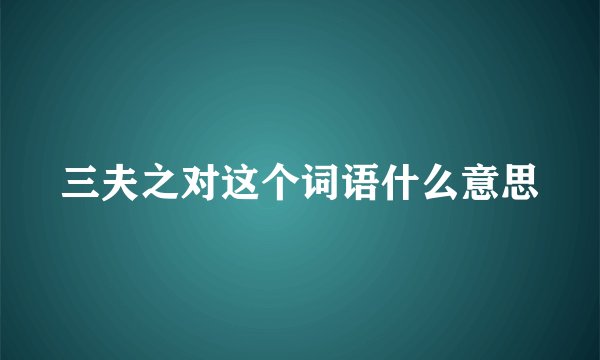 三夫之对这个词语什么意思