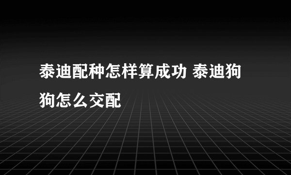 泰迪配种怎样算成功 泰迪狗狗怎么交配