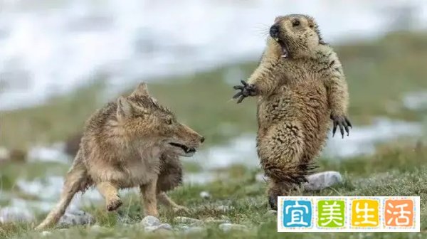 留德归国人员证明办理攻略