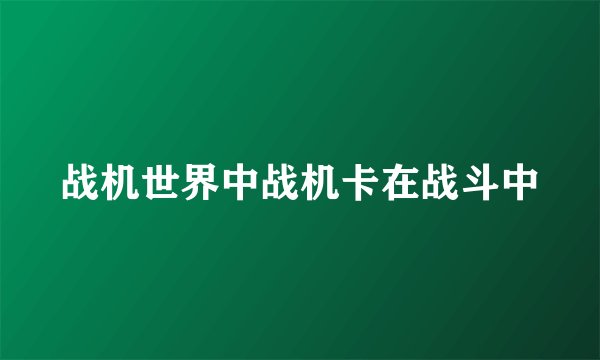 战机世界中战机卡在战斗中