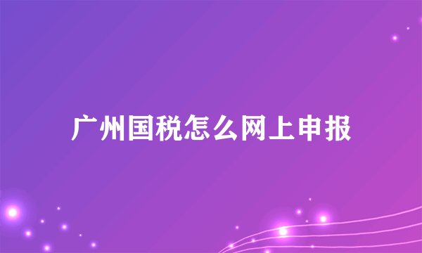 广州国税怎么网上申报
