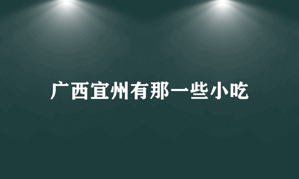 广西宜州有那一些小吃