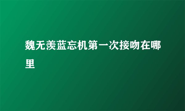 魏无羡蓝忘机第一次接吻在哪里