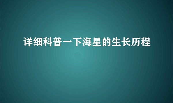 详细科普一下海星的生长历程
