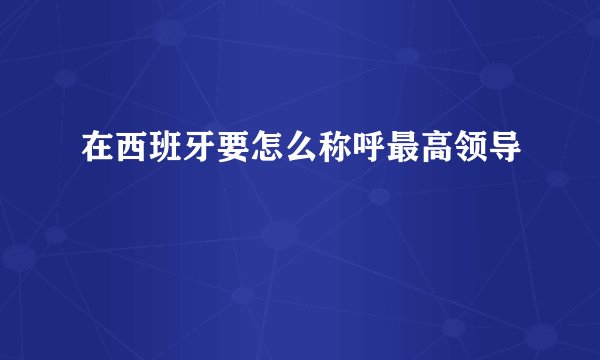 在西班牙要怎么称呼最高领导