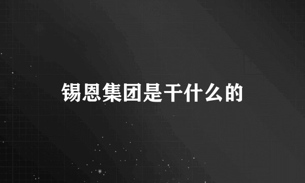 锡恩集团是干什么的