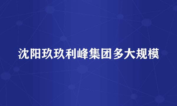 沈阳玖玖利峰集团多大规模