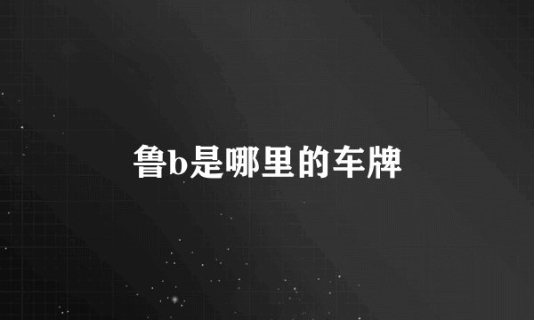 鲁b是哪里的车牌