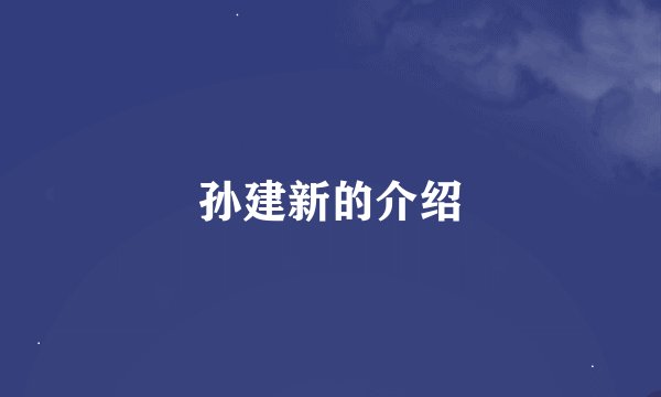 孙建新的介绍