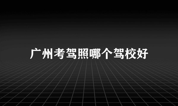 广州考驾照哪个驾校好