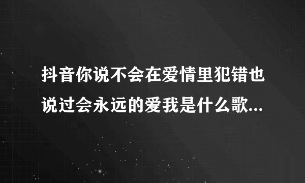 抖音你说不会在爱情里犯错也说过会永远的爱我是什么歌-为情所伤歌曲信息介绍