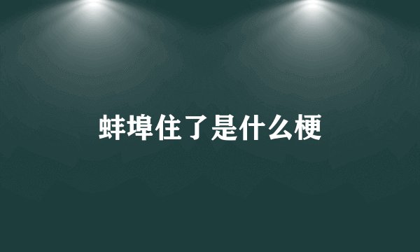 蚌埠住了是什么梗