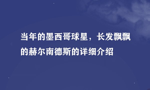 当年的墨西哥球星，长发飘飘的赫尔南德斯的详细介绍