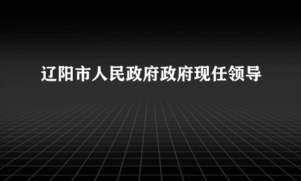 辽阳市人民政府政府现任领导